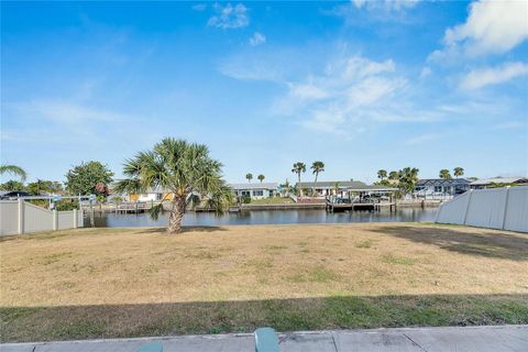 A home in APOLLO BEACH