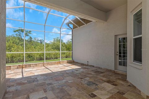 A home in WESLEY CHAPEL