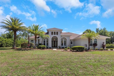 A home in WESLEY CHAPEL