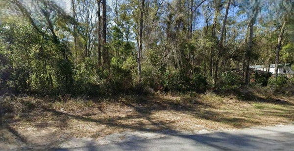 NW 80TH CT, CHIEFLAND, FL 32626 - Image 7b9c27c2bca8d92b2ae7fc8cb2c6048b/2642463212