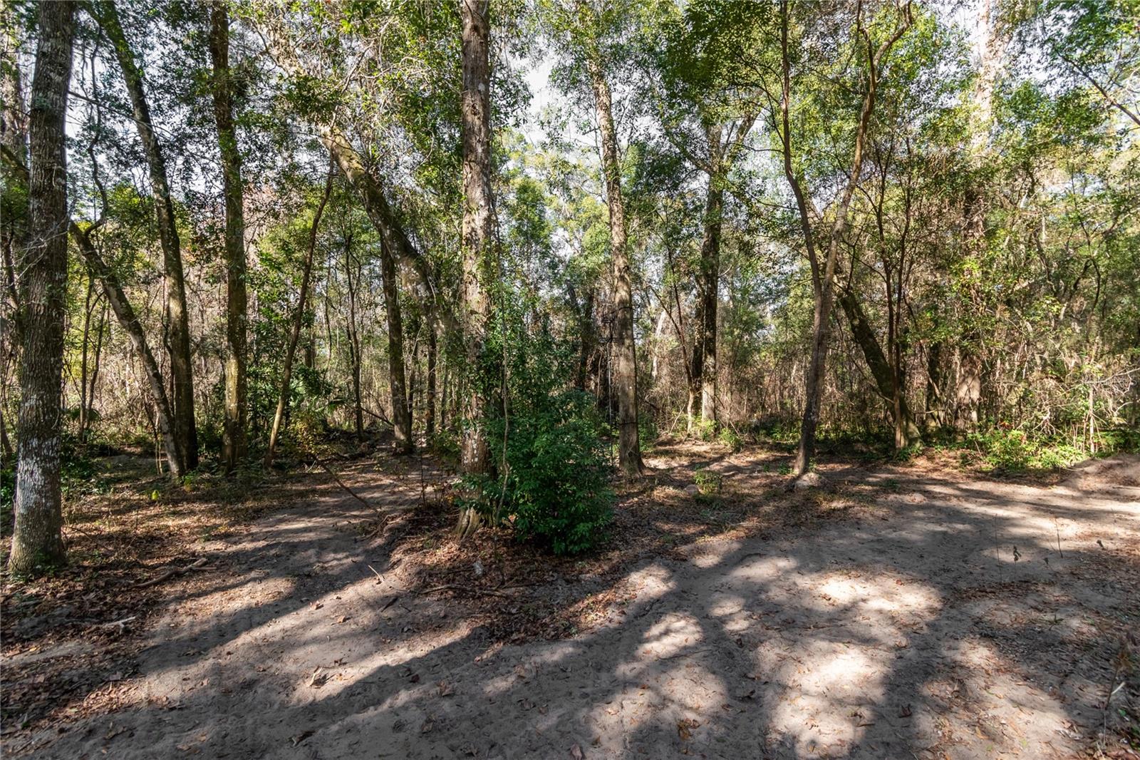 MELROSE GOODSONS ADD - Residential