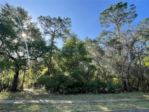 11827 RAMBLING OAK BOULEVARD ORLANDO FL 32832