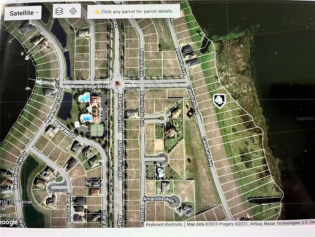 Photo of 344 Caladium Ave, Lake Alfred, FL 33850 (MLS # O6119632)