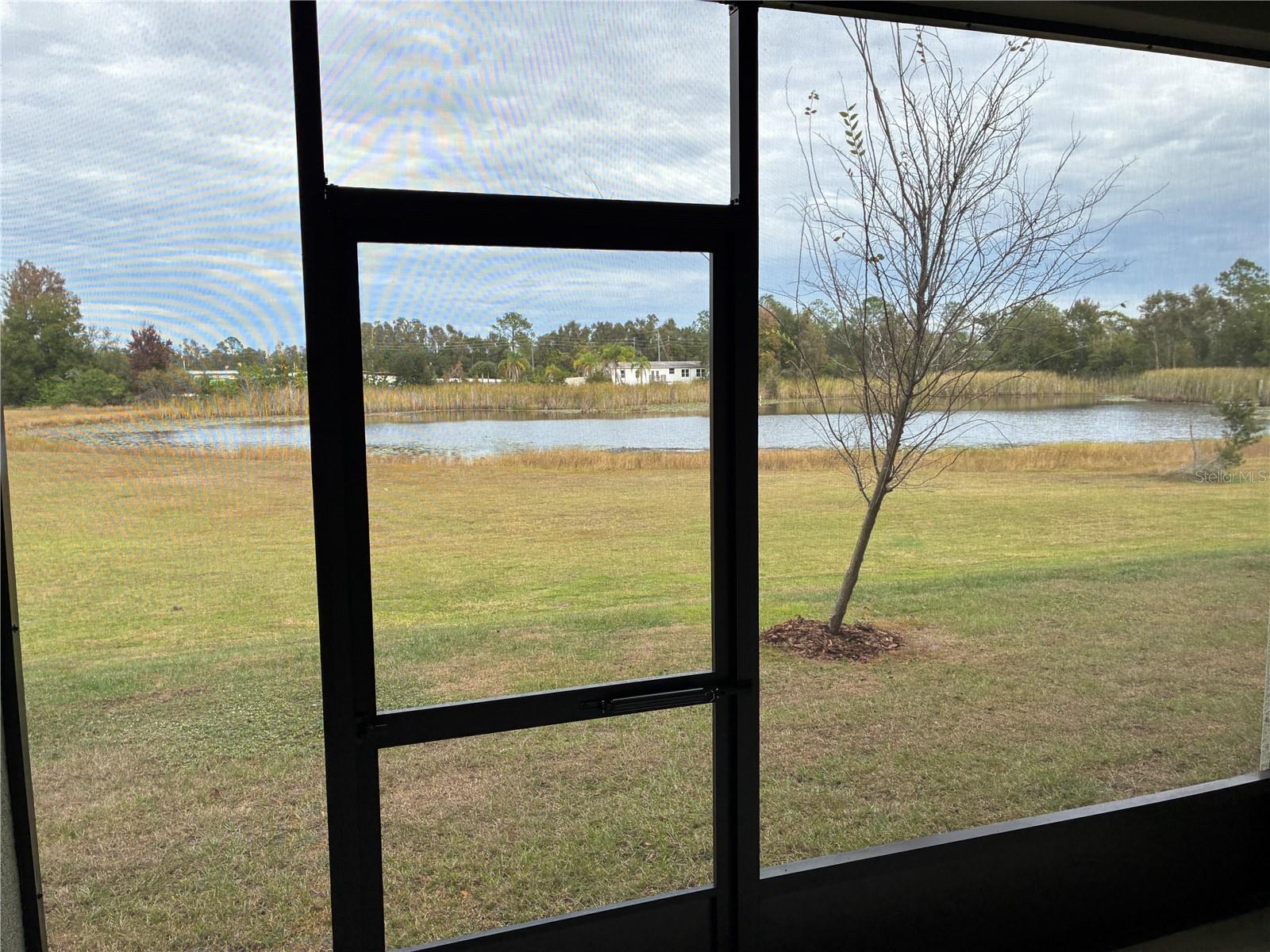 TOWNES/LK THOMAS PH 1 - Residential Lease