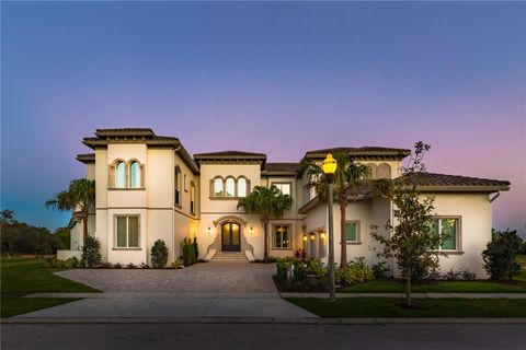 925 DESERT MOUNTAIN COURT REUNION FL 34747