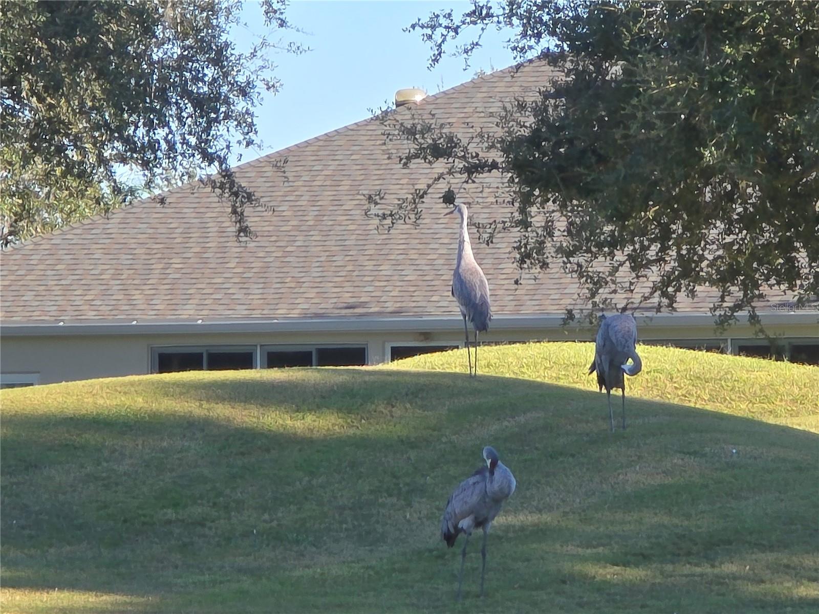 PLANTATION AT LEESBURG NOTTOWAY VILLAGE - Residential