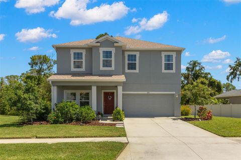 3115 GINA COURT HOLIDAY FL 34691