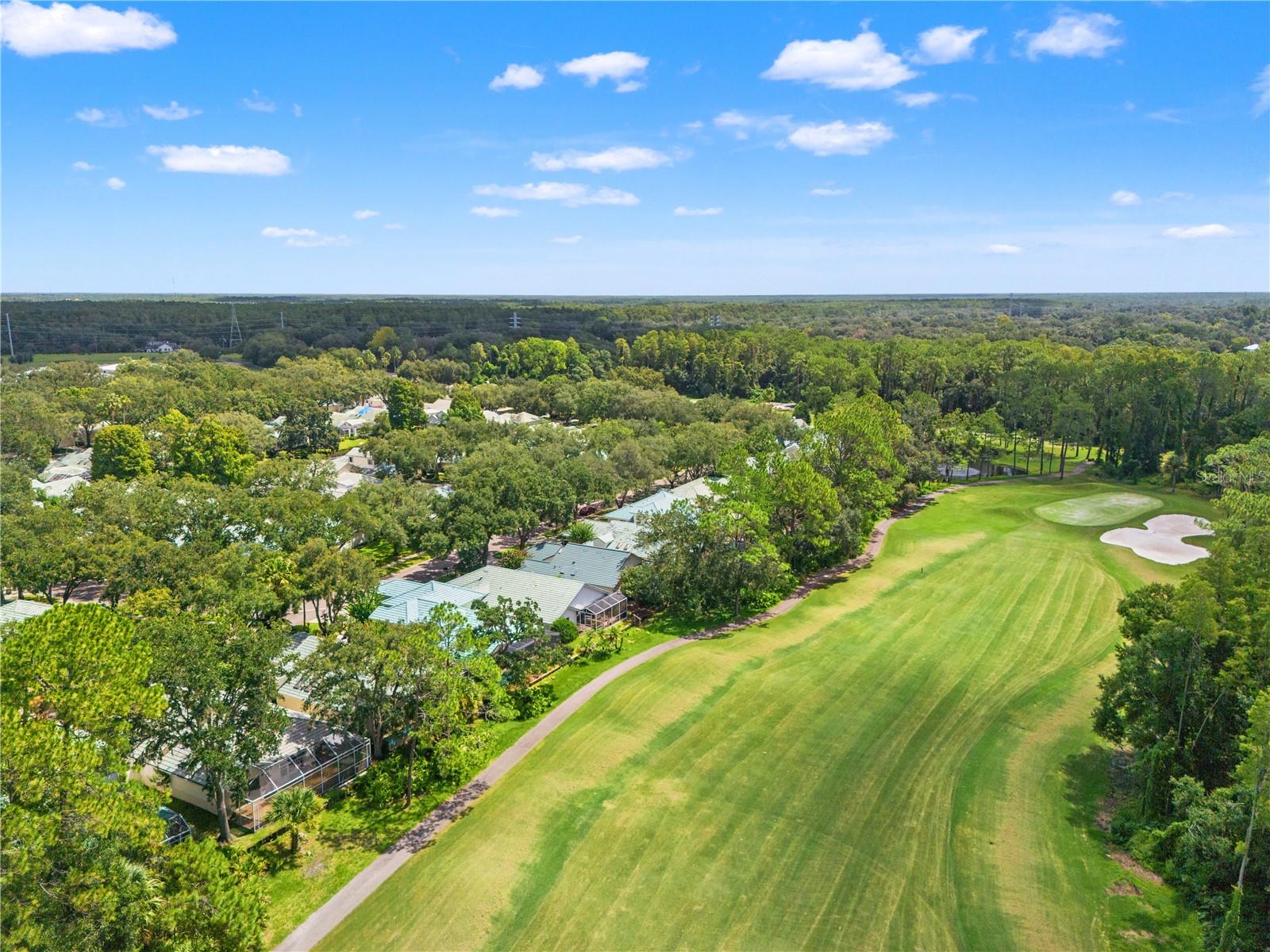 6005 FAIRWAY PALMS COURT