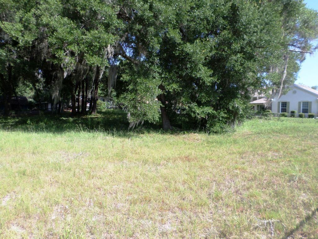 Photo of 000 Blue Heron Ct #000, Dunnellon, FL 34432 (MLS # OM679724)