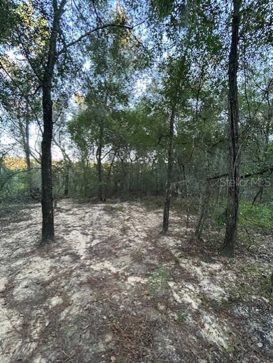 Discover your slice of paradise with this .23-acre lot in serene Interlachen, Florida! Zoned R-2 for your dream single-family home—whether a mobile, modular, or site-built home—walk out your back door to a 7-acre preserve for hiking and enjoying nature around Flamingo Lake. Tranquil rural living, just a quick 10-minute drive from Interlachen Jr/Sr high schools, shops, and restaurants. Gainesville, Melrose, and Palatka within 40 minutes. Build your future in this perfect blend of retreat and convenient access!