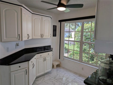 Tiny photo for 3805 Doune Way, Clermont, FL 34711 (MLS # O6442355)