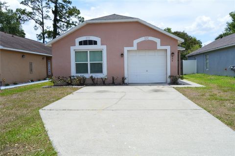 Photo of 424 Delicata Drive, Orlando, FL 32807 (MLS # O6410921)