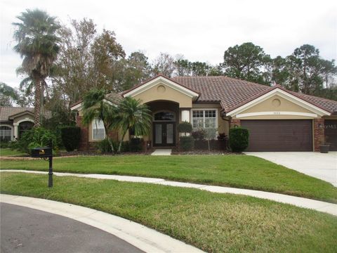 A home in OLDSMAR