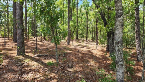 Tiny photo for 7760 N Pocono Drive, Citrus Springs, FL 34434 (MLS # OM732583)