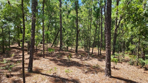 Tiny photo for 7760 N Pocono Drive, Citrus Springs, FL 34434 (MLS # OM732583)