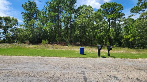 Photo of 7760 N Pocono Drive, Citrus Springs, FL 34434 (MLS # OM732583)