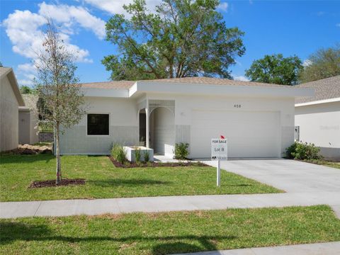 458 SKYFIELD COURT LADY LAKE FL 32159