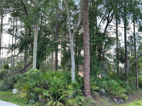 2050 10TH AVENUE DELAND FL 32724