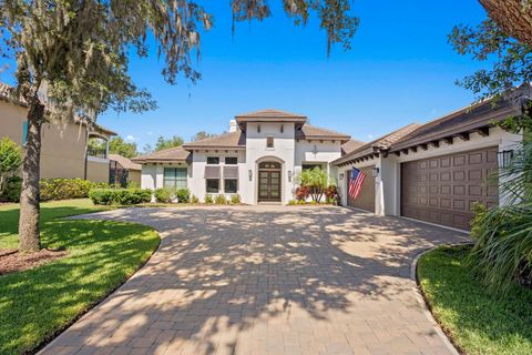 A home in LITHIA