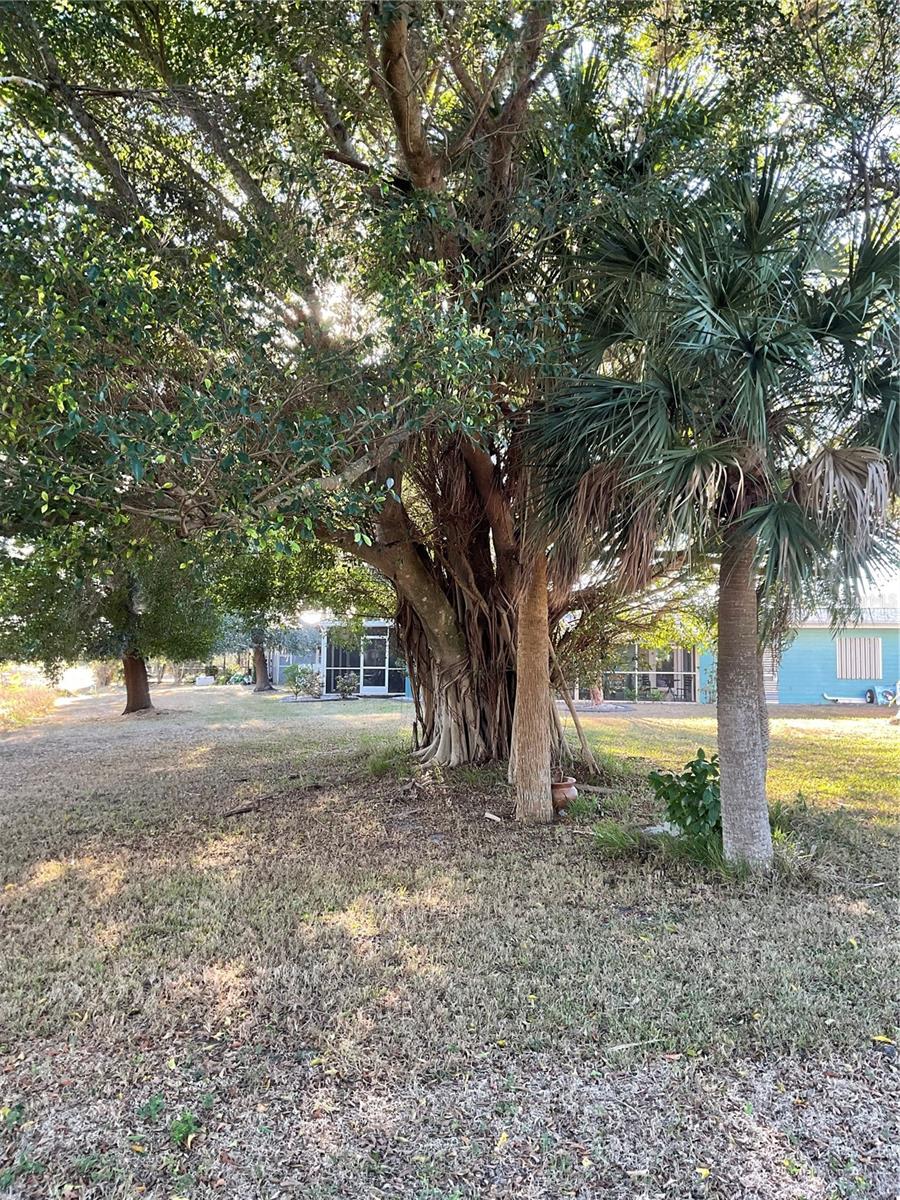 PORT CHARLOTTE GOLF CRSE SEC - Residential Lease