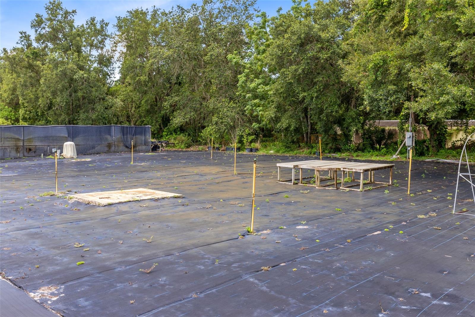 APOPKA RANCHES - Commercial Sale