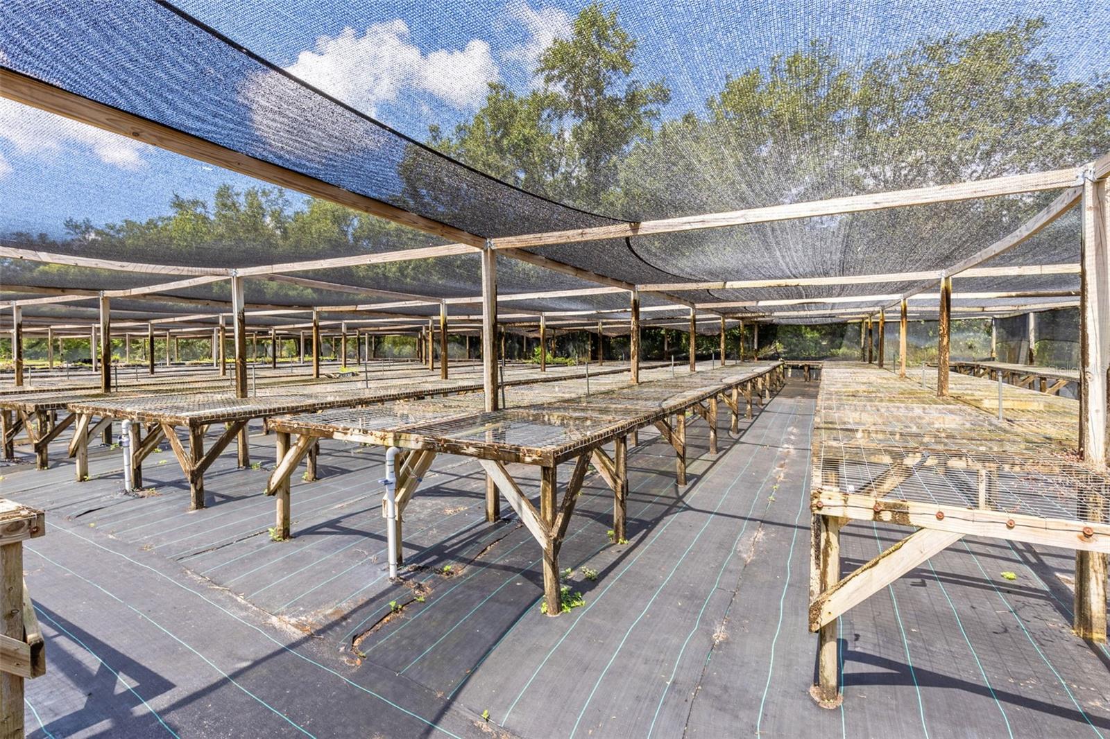 APOPKA RANCHES - Commercial Sale