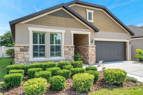 11314 AMERICAN HOLLY DRIVE RIVERVIEW FL 33578