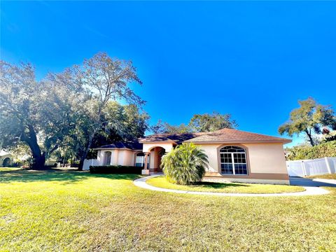 A home in APOPKA