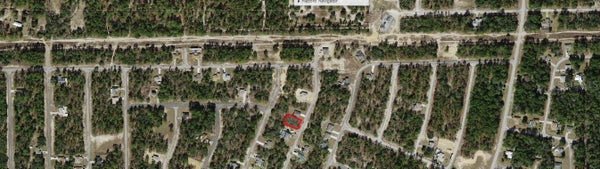 9850 N DANA WAY, CITRUS SPRINGS, FL 34433 - Image 7bcdf160ef2e790c331fde528b931188/575263533