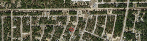 Photo of 9850 N Dana Way, Citrus Springs, FL 34433 (MLS # OM733230)