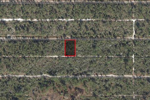 533 PARROT AVENUE SEBRING FL 33872
