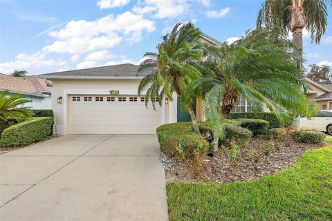 A home in MOUNT DORA