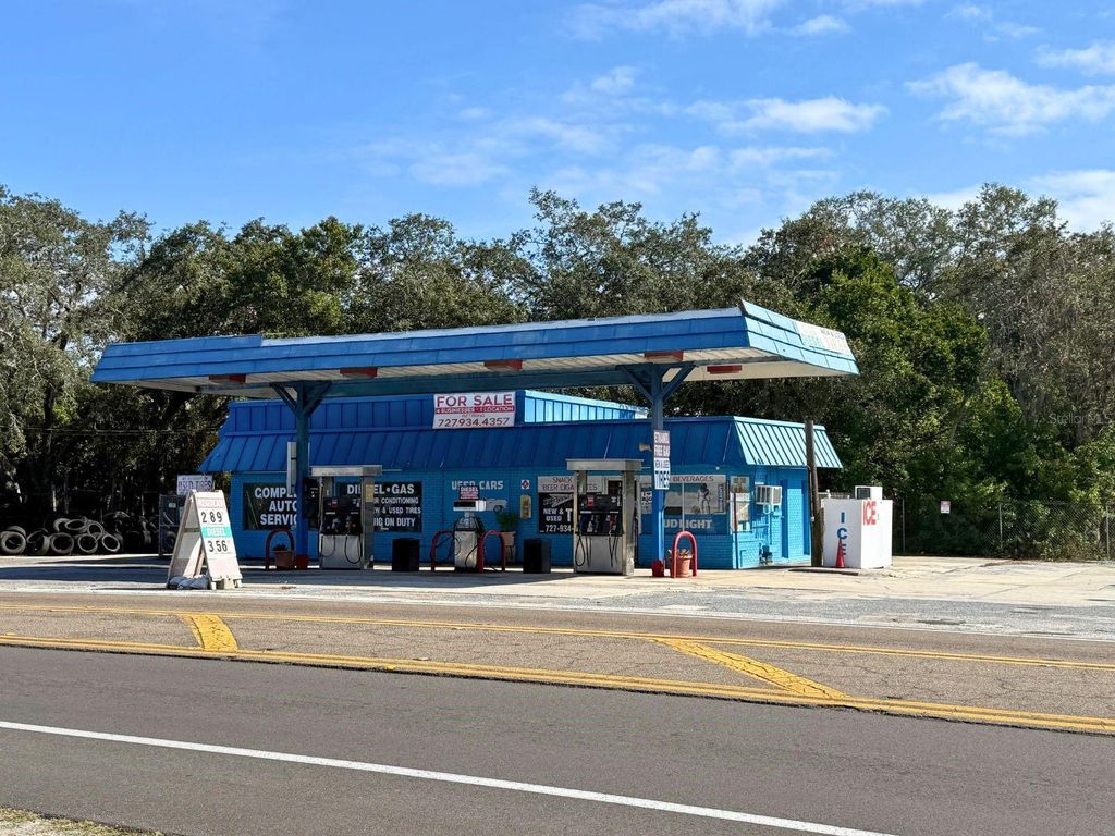 Photo of 1941 S Pinellas Avenue, Tarpon Springs, FL 34689 (MLS # W7881831)