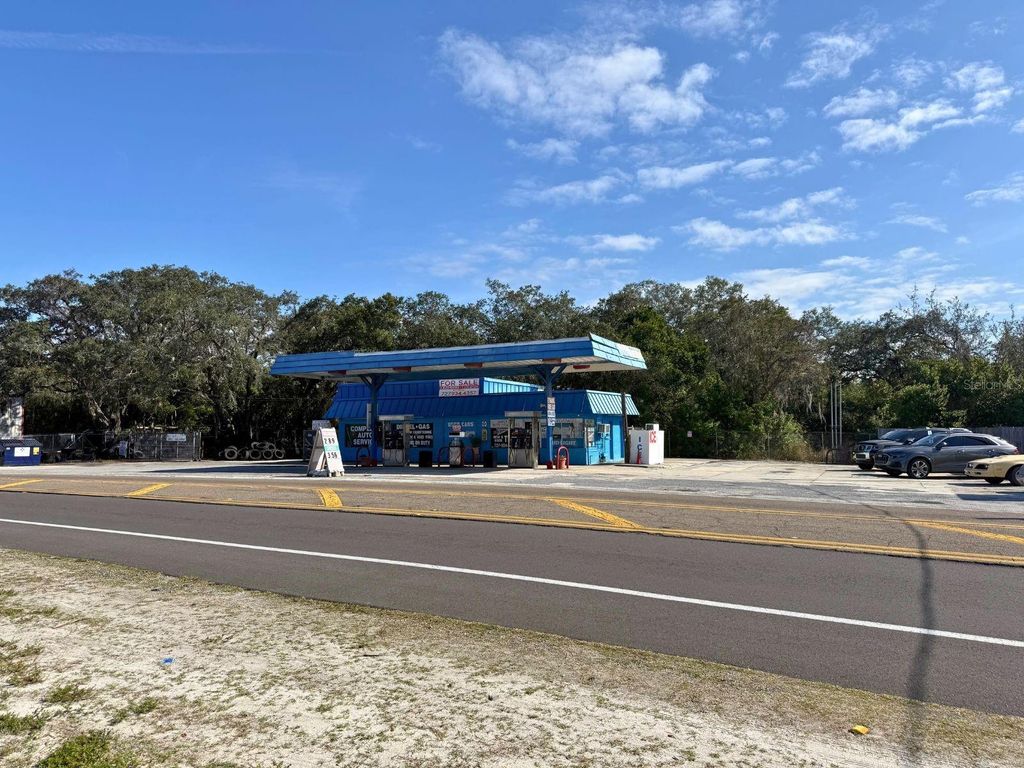 Photo of 1941 S Pinellas Avenue, Tarpon Springs, FL 34689 (MLS # W7881831)