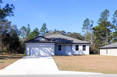 6926 N ELKCAM BOULEVARD CITRUS SPRINGS FL 34433