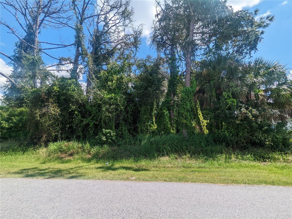 Photo of 13441 Drysdale Avenue, Port Charlotte, FL 33981 (MLS # C7480933)