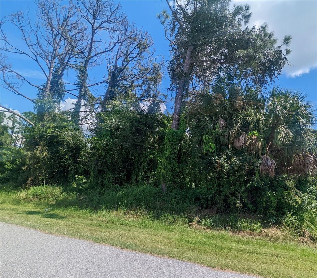 Photo of 13441 Drysdale Avenue, Port Charlotte, FL 33981 (MLS # C7480933)