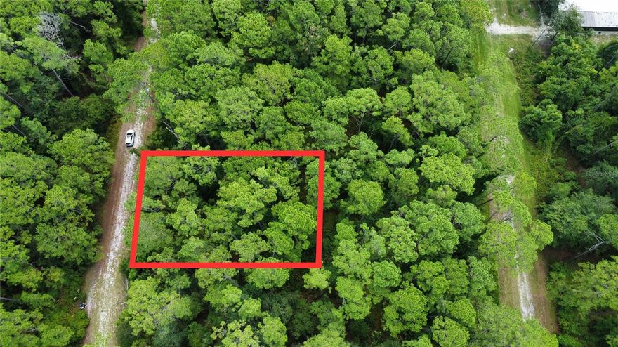 Lot available in Georgetown, FL! This vacant parcel is zoned Residential, Two-Family, offering a great opportunity to build a custom home or place a manufactured/mobile home. The property features easy access to electricity, with the ability to install a private well and septic system. Located in a quiet and friendly community, this lot is just a short drive to fishing along the Gulf Coast, golf courses, parks, and trails. Local restaurants, shopping, and year-round Florida sunshine make this an ideal spot for either a primary residence or investment property.
