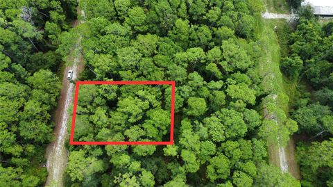 413 DOGWOOD AVENUE GEORGETOWN FL 32139