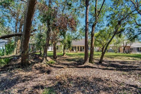 A home in RIVERVIEW