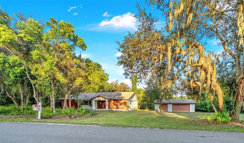 Photo of 245 Agua Vista Street, Debary, FL 32713 (MLS # V4951609)