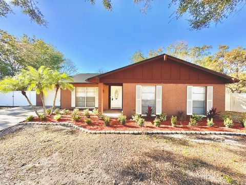 A home in TAMPA