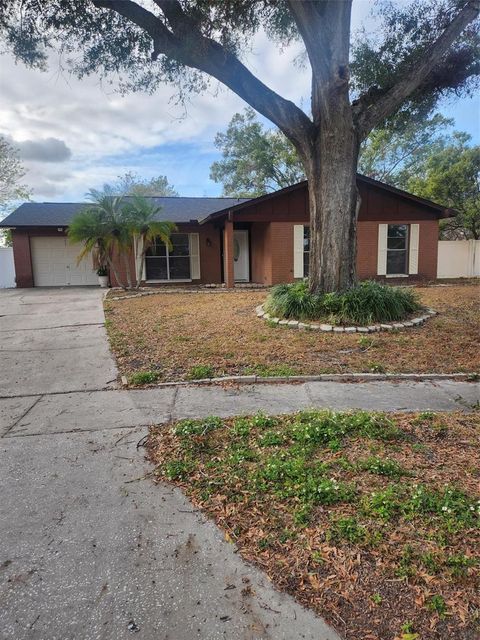 A home in TAMPA