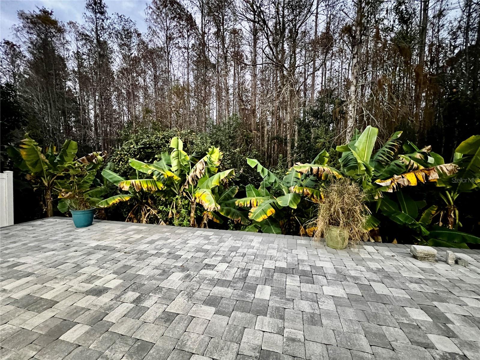 SPRINGLAKE VILLAGE PH 3 - Residential Lease