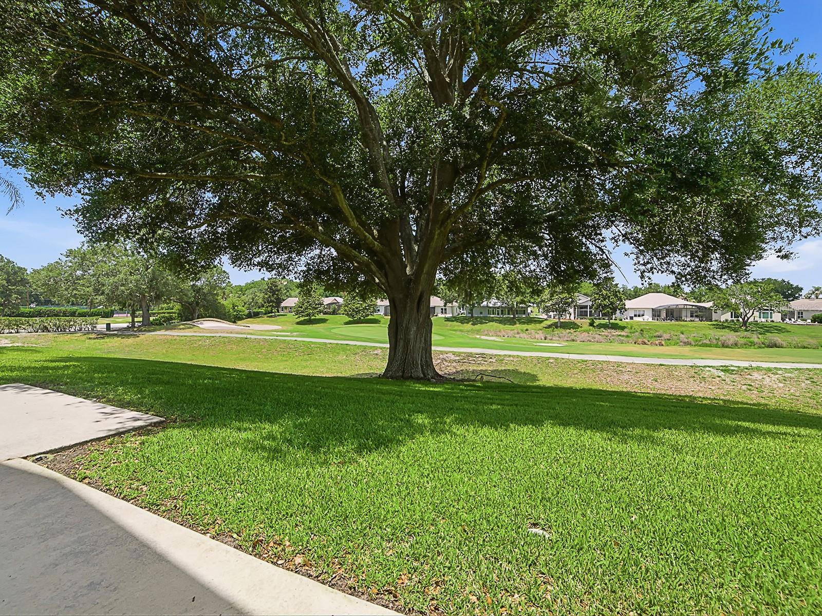 PLANTATION AT LEESBURG CHANTICLEER VILLAGE L - Residential