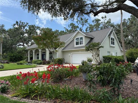 3301 RIVER WOODS DRIVE PARRISH FL 34219