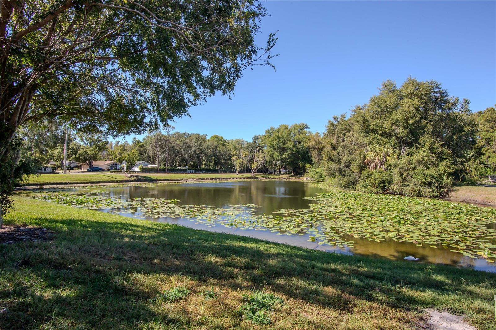 VILLAS OF NORTHDALE PH 01 - Residential