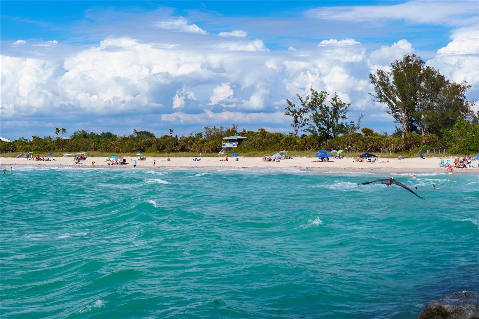 SPENCER COVE - Residential Lease