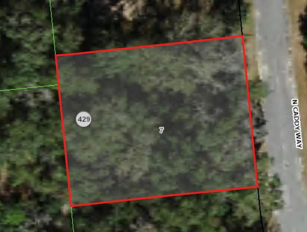 Photo of 9020 N Caddy Way, Citrus Springs, FL 34434 (MLS # A4588236)