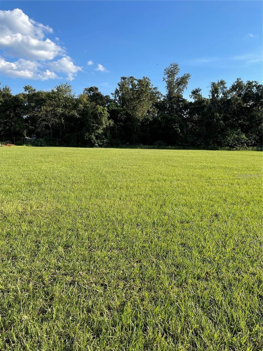 Build your dream home on this beautiful 1.23-acre lot in the sought-after McIntosh Groves community of Thonotosassa! This high-and-dry property (NO flood zone) offers a wide, pie-shaped layout at the end of a quiet cul-de-sac, with a wooded backdrop for privacy and peaceful views.
Enjoy the best of both worlds! Country living with quick access to Tampa, Orlando, and Florida’s stunning Gulf beaches. The road to the property is paved and features underground electric service, ready for your build. McIntosh Groves is a charming, deed-restricted community with just 10 homes, ensuring a quiet, tight-knit neighborhood.
You’ll be zoned for the highly rated A+ Strawberry Crest High School and enjoy easy access to Hwy 301, I-4, and I-75, putting shopping, dining, USF, and MacDill AFB within a short drive.
Come see this hidden gem—your perfect piece of Florida is waiting!